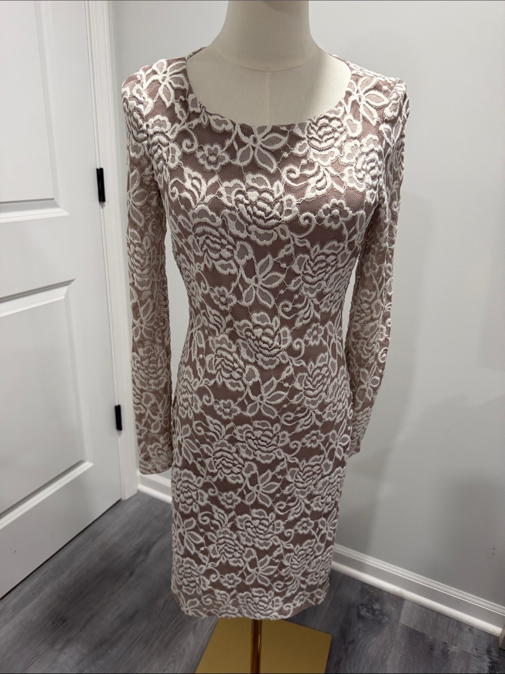 Eliza J Long Sleeve Lace Sheath lined Dress in Blush/Beige and Ivory lace